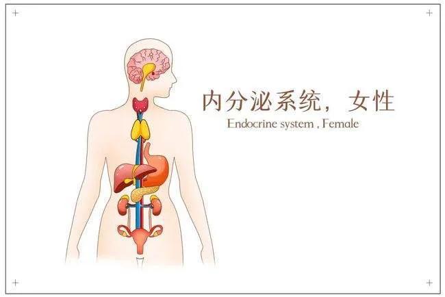 生活小妙招助您轻松缓解疼痛不适